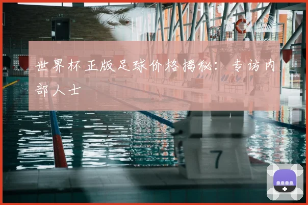 世界杯正版足球价格揭秘：专访内部人士