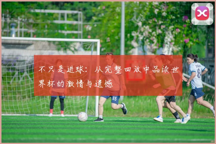 不只是进球：从完整回放中品读世界杯的激情与遗憾