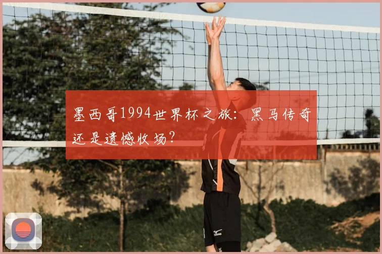 墨西哥1994世界杯之旅:黑马传奇还是遗憾收场?